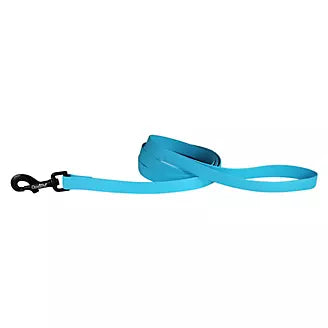 Carnival Waterproof 6ft Dog Leash Light Blue