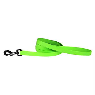 Carnival Waterproof 6ft Dog Leash Lime Green