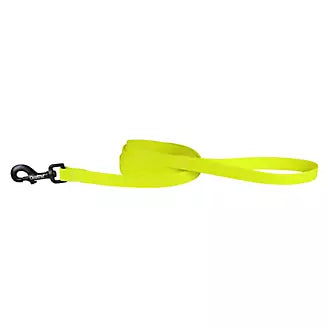 Carnival Waterproof 6ft Dog Leash Neon Yellow