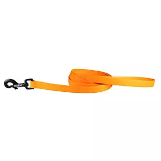 Carnival Waterproof 6ft Dog Leash Orange