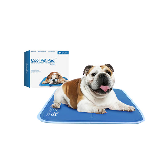 The Green Pet Shop Dog Cooling Mat, Medium, Blue
