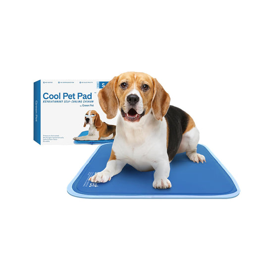 The Green Pet Shop Dog Cooling Mat, Small, Blue