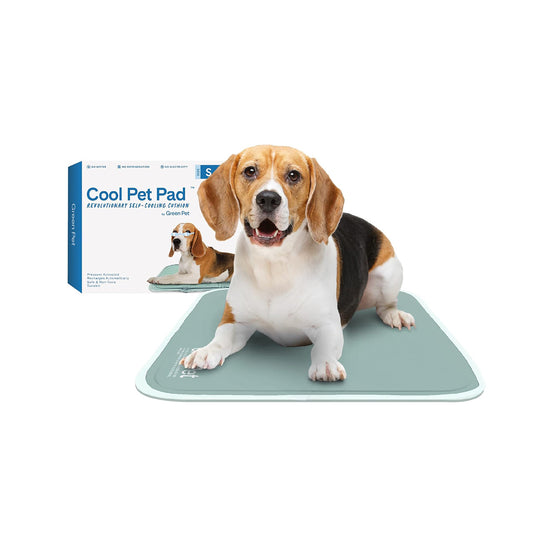 The Green Pet Shop Dog Cooling Mat, Small, Sage