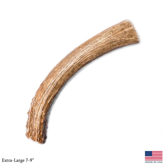 Silvergate Antler Dog Chew Whole Deer eXtra Large