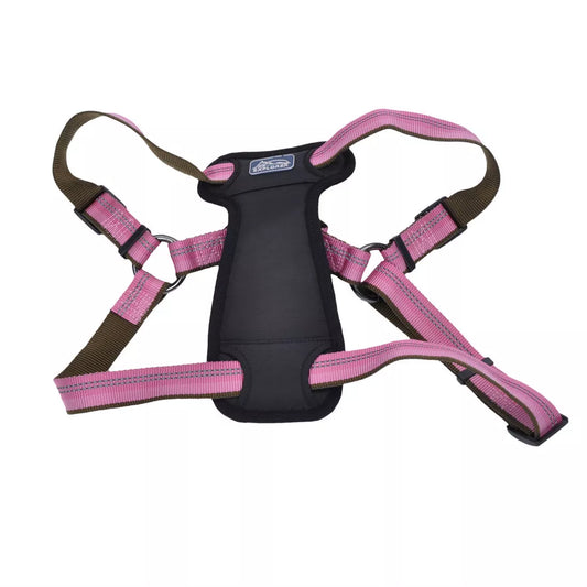 Coastal K9 Explorer Reflective Adjustable 1in Wide 26-38in Padded Dog Harness Rosebud