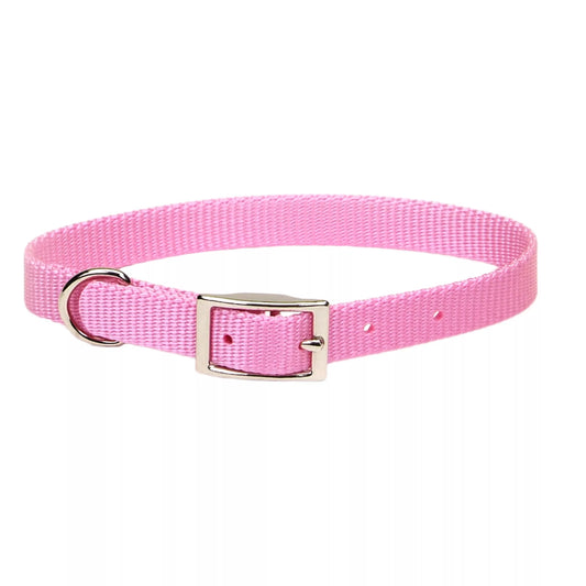 Coastal Single Ply 5/8in Wide 14in Dog Collar Bright Pink