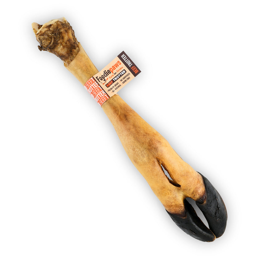 Foodie Paws Beef Trotter 17in