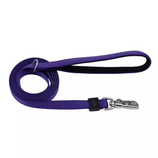 Coastal Inspire 6ft Long 1in Dog Leash Purple