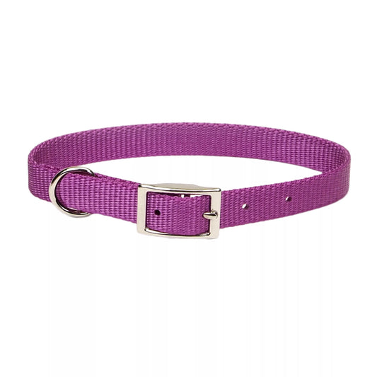 Coastal Single Ply 5/8in Wide 16in Dog Collar Orchid