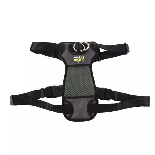 Coastal Walk Right! Front-Connect Medium 20-30in No-Pull Padded Dog Harness Black