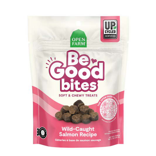 Open Farm Be Good Bites Wild-Caught Salmon Recipe Treats For Dogs 6oz Bag