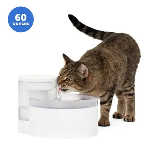 PetSafe - Outlast 60 oz Pumpless Pet Fountain - White