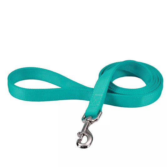 Coastal Double Ply 6ft Long 1in Dog Leash Teal