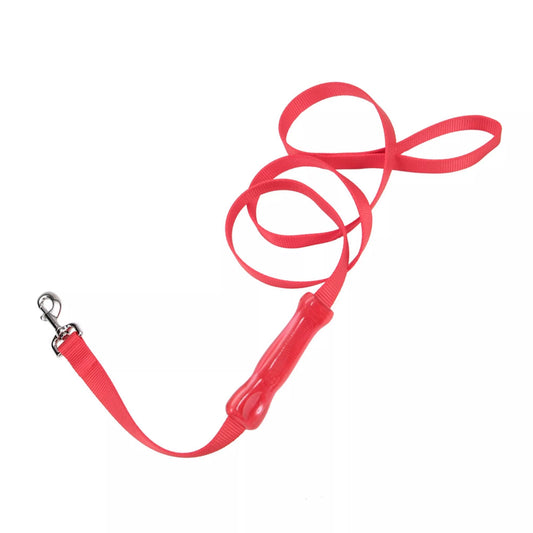 Coastal Insta Grip 6ft Long 1in Control Handle Dog Leash Red