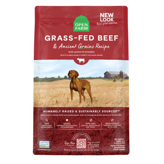Open Farm Grass-Fed Beef & Ancient Grains Kibble For Dogs 22lb Bag