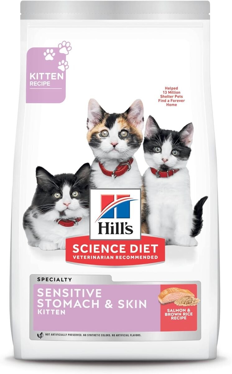 Hill's Science Diet Kitten Sensitive Stomach & Skin Salmon & Brown Rice Recipe Dry Cat Food - 3.5 Lb