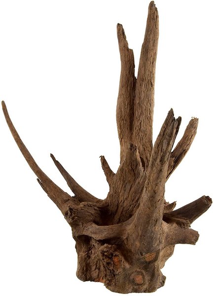 Underwater Treasures Eucalyptus Root Fish Wood, Nano