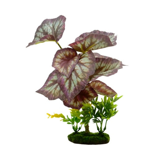 Blue Ribbon Pet Products Tropical Gardens Caladium Bicolor Aquarium Plant 11in