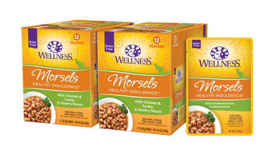 Wellness Healthy Indulgence Natural Grain Free Wet Cat Food Morsels Chicken & Turkey 3oz Pouch