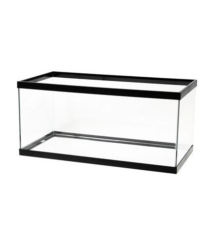 Aqueon Products-Glass-Standard Rectangular Aquarium Tank- Black 40 Gallon Breed