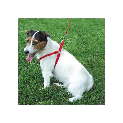 Coastal Pet Comfort Wrap Adjustable Harness Red 16-24  girth x 5/8 W