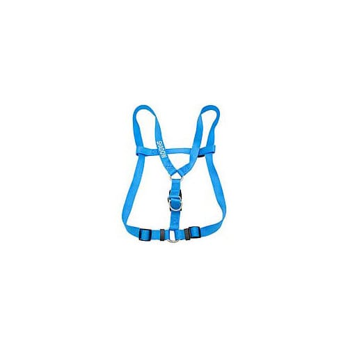 Coastal Pet Large Personalized Harness in Blue Lagoon