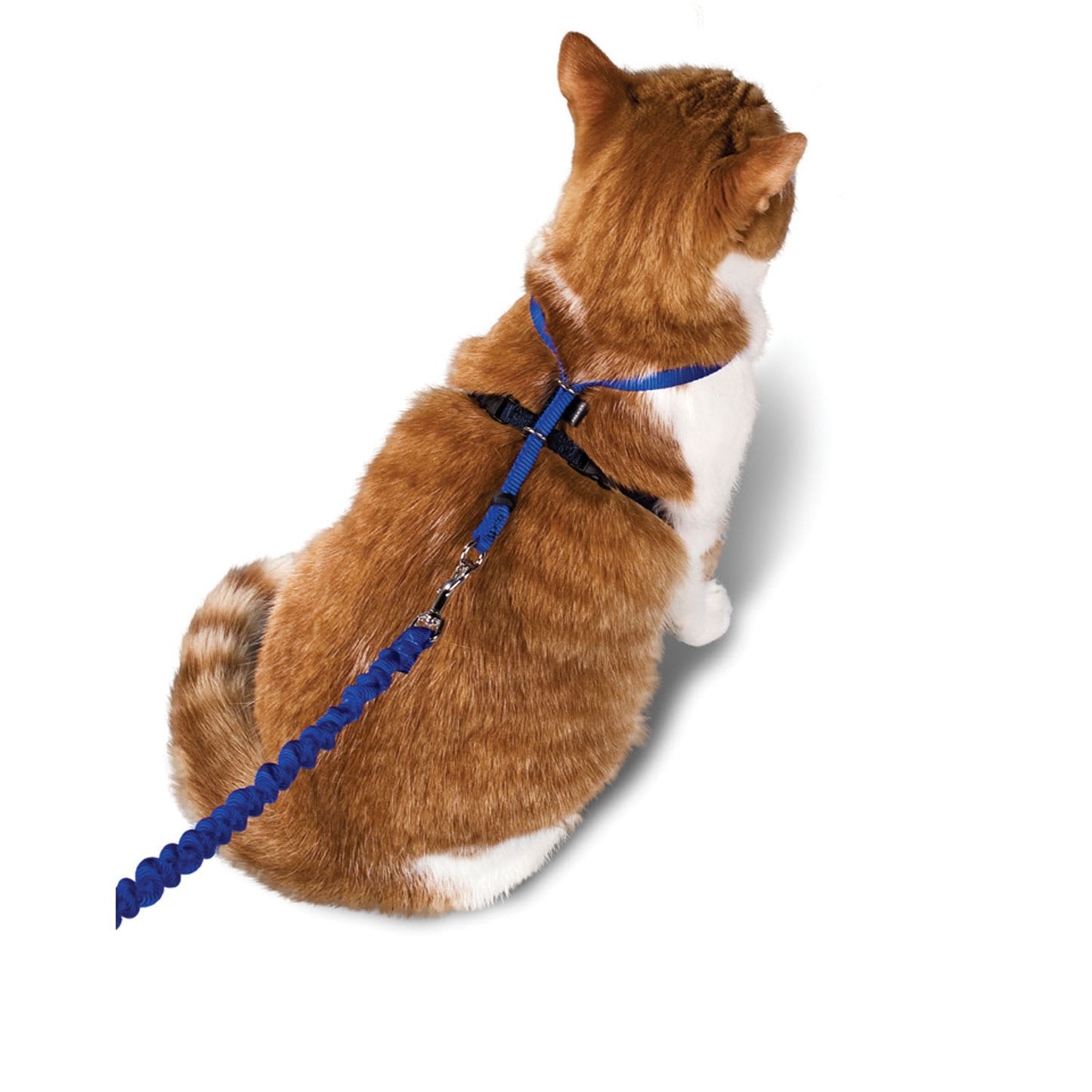 PetSafe Come with Me Kitty and Bungee Adjustable Leash Cat Harness - L - Blue