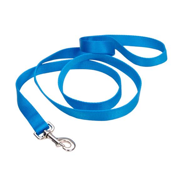 Coastal Pet Products DCP906BLL Nylon Single Layer Lead