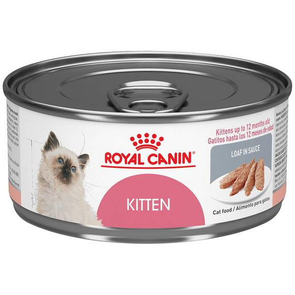 Royal Canin 5.1 oz Kitten Loaf in Sauce Cat Food