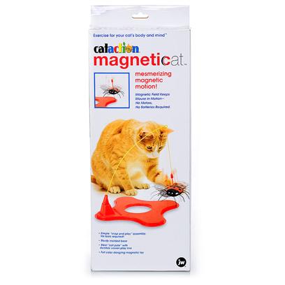 JW Pet Cataction Magneticat Cat Toy