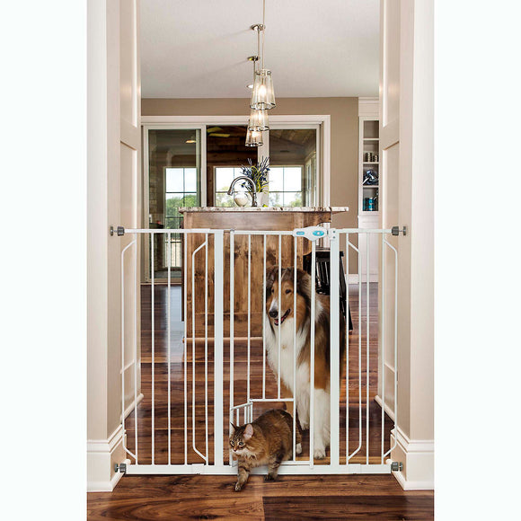 Carlson Extra Tall Pet Gate with Small Door