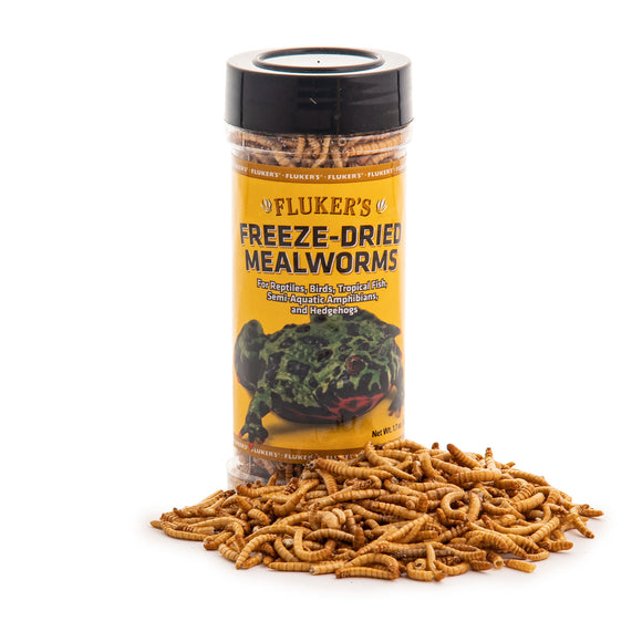 Fluker s Freeze-Dried Mealworms Reptile Bird Turtle Food  1.7 Oz