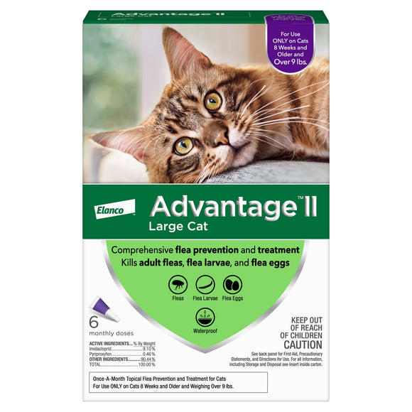 Advantage II Flea Prevention for Large Cats  6 Monthly Treatments