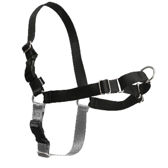 PetSafe Easy Walk Adjustable Dog Harness - M/L - Black