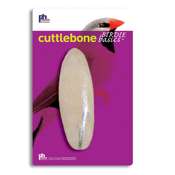 Large Cuttlebone