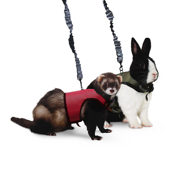 Kaytee Comfort Harness And Stretch Leash Small