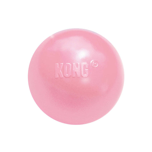 KONG Puppy Ball With Hole Dog Toy, Assorted, Small