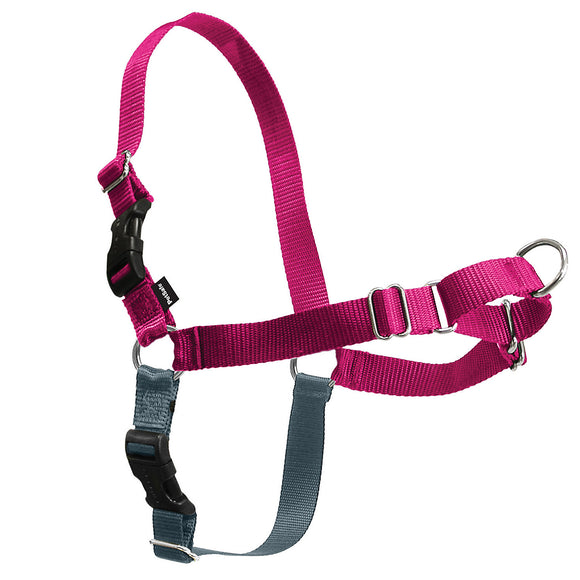 PetSafe Easy Walk Dog Harness, Medium, Raspberry
