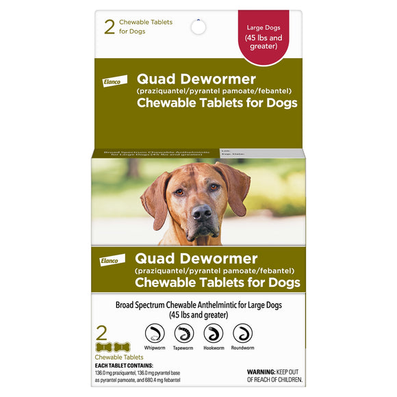 Bayer Quad Dewormer Chewable Tablet for Dogs