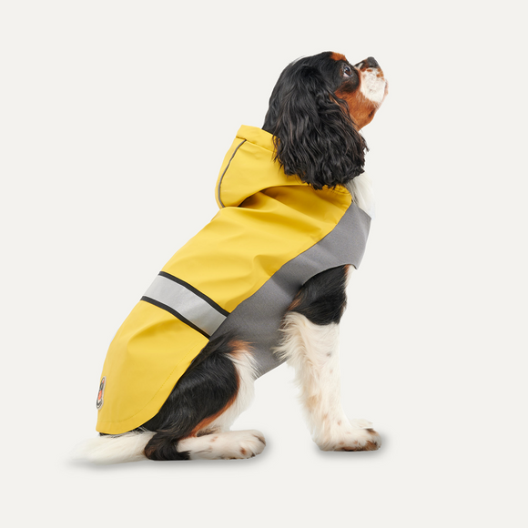 Gooeez Reflective Hooded Raincoat Yellow/Grey Large