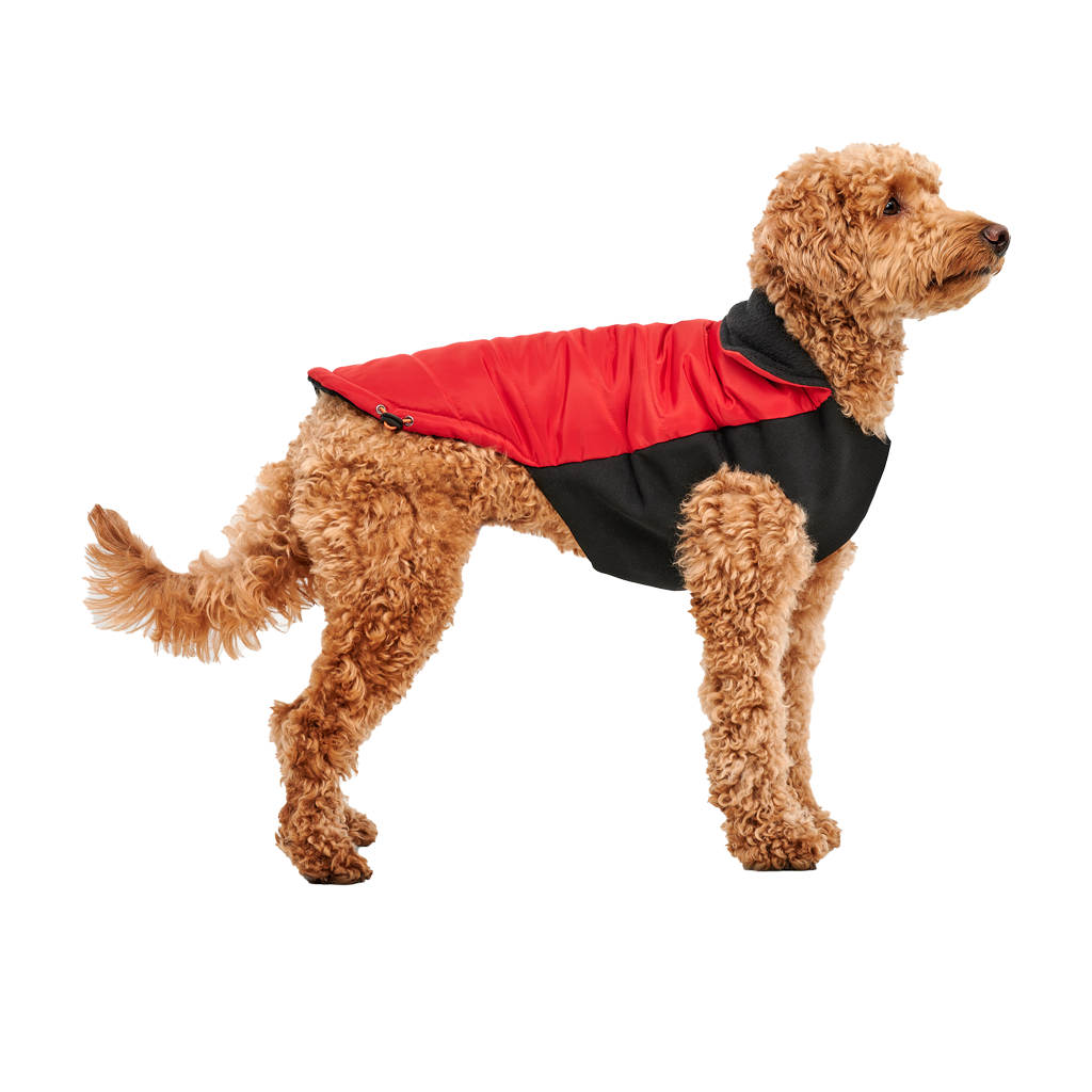 Gooeez Red Mock Neck Signature Jacket Medium