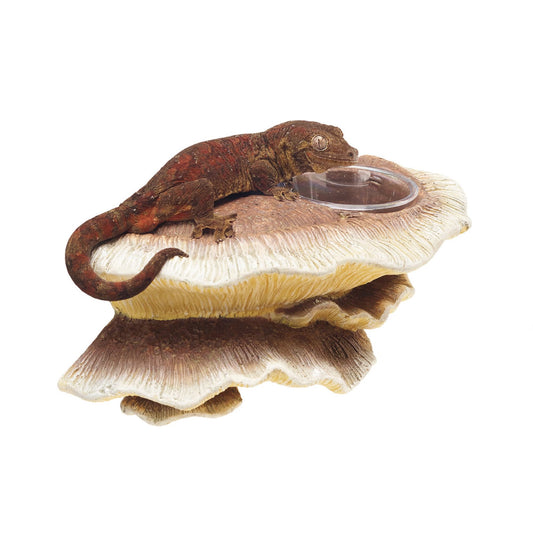 Zilla Vertical Decor for Reptiles  Mushroom Feeding Ledge