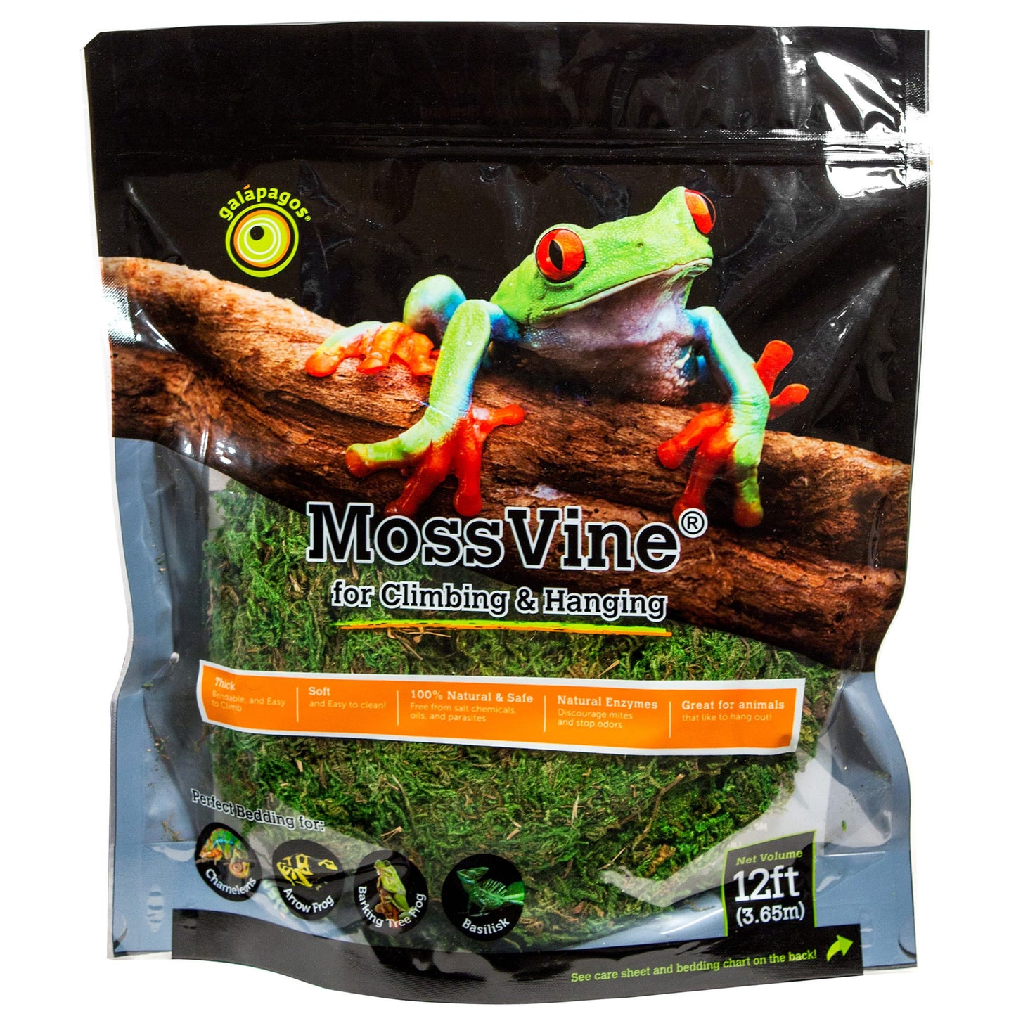 Galapagos MossVine  Fresh Green  12ft