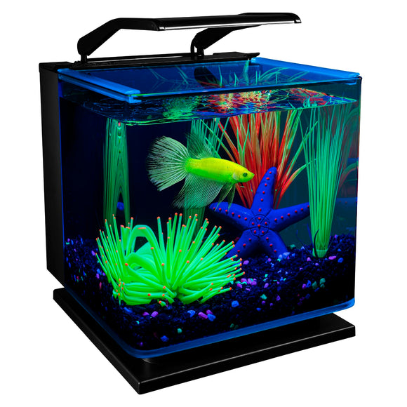 GloFish Betta Aquarium Kit Includes LED Lighting And Filter, 3 Gallon, 6.26 LB