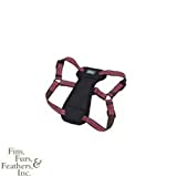 K9 Explorer Reflective Dog Harness Medium Berry