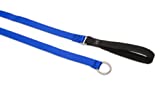 Lupine Slip Lead for Medium and Larger Dogs, 3/4-Inch Wide by 6-Feet Long, Blue