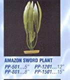 Aquascaper Amazon Sword Plant 8 In