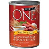 Purina ONE Natural, High Protein Gravy Wet Dog Food, SmartBlend Tender Cuts in Gravy Beef & Barley, 13 oz. Can