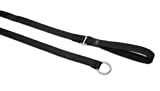 Lupine Slip Lead for Medium and Larger Dogs, 3/4-Inch Wide by 6-Feet Long, Black