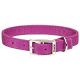 Coastal Pet Single Nylon Collar - Bright Pink 16\ Long x 5/8\"" Wide""